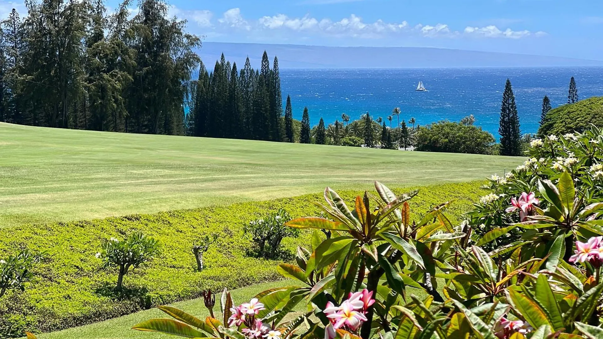 Apartmán Kapalua Ridge 2321 Kahana
