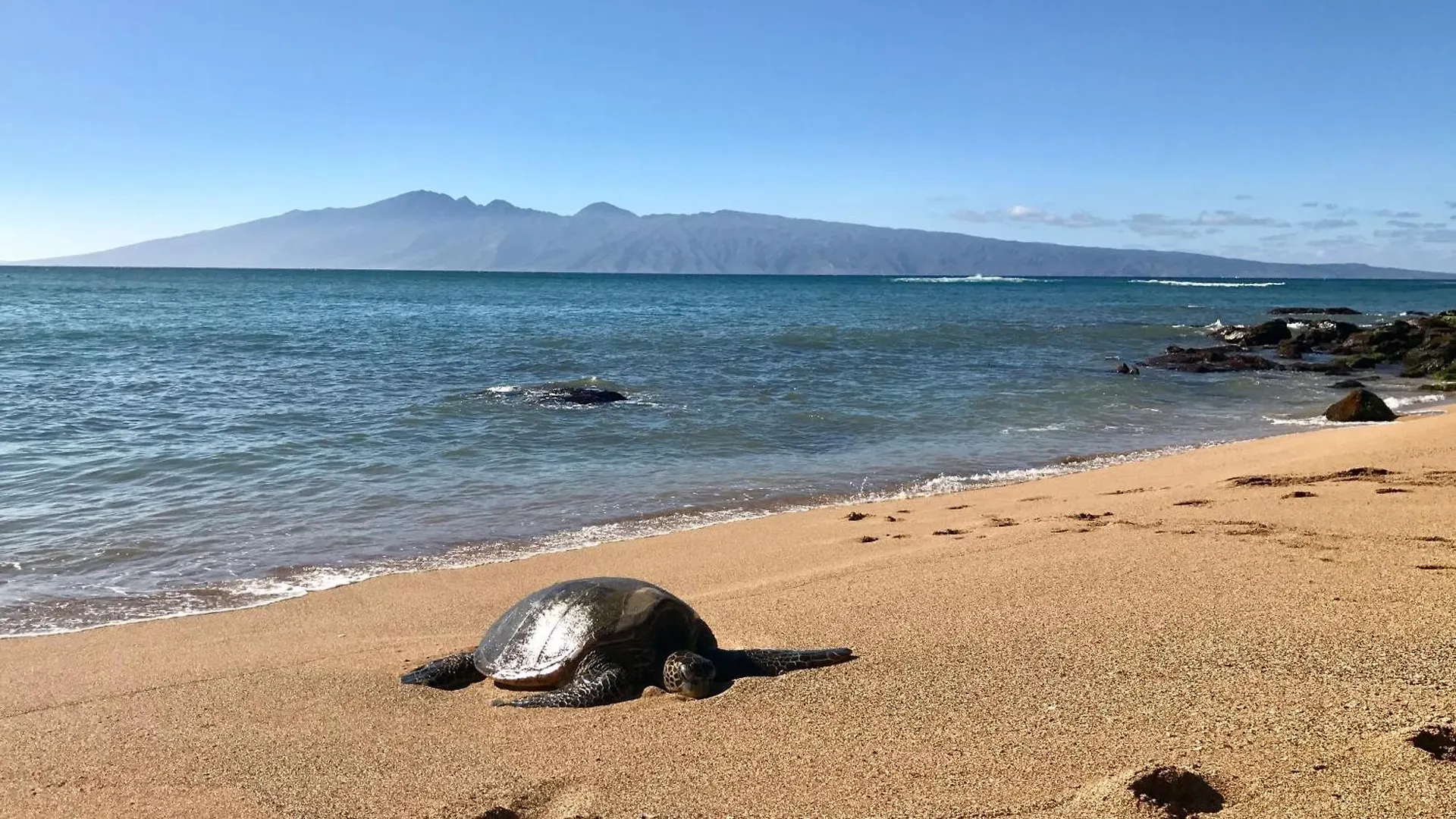 Apartmán Kapalua Ridge 2321 Kahana USA