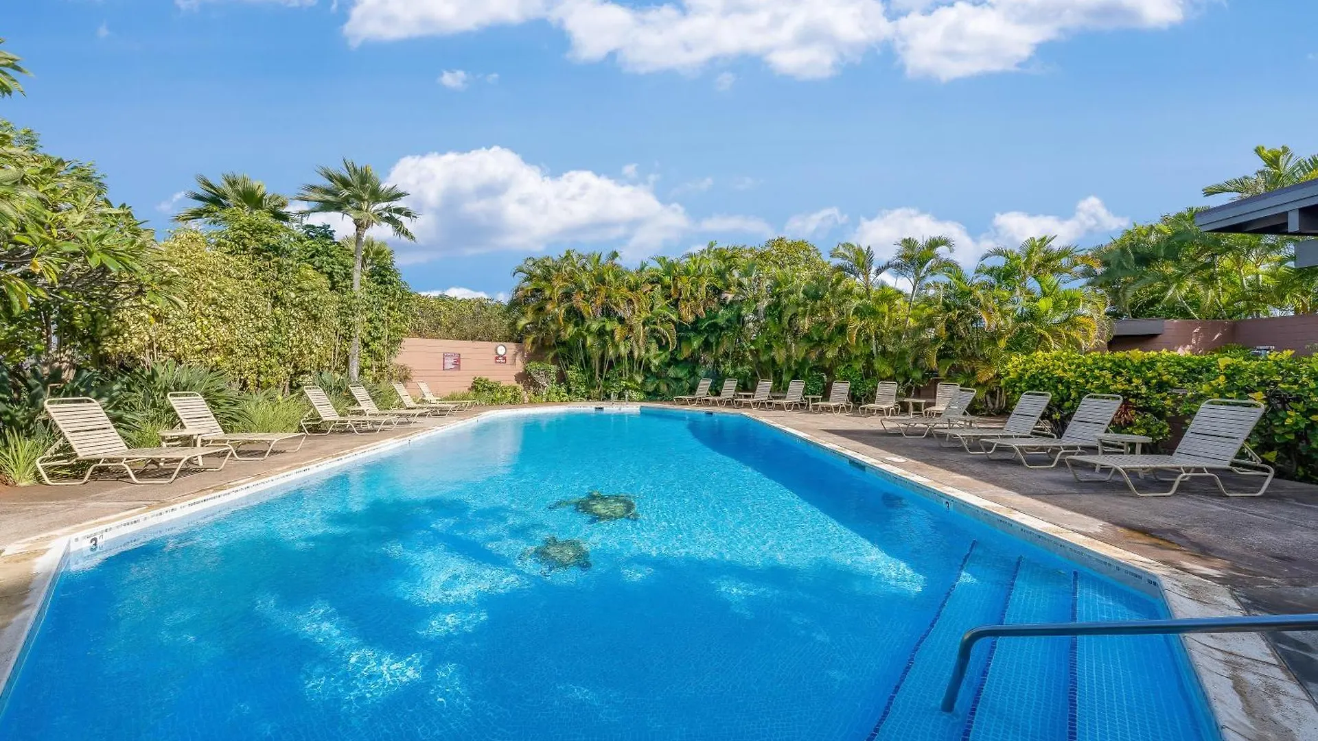 Apartmán Kapalua Ridge 2321 Kahana